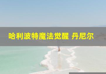 哈利波特魔法觉醒 丹尼尔